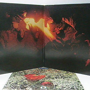 レコードサブ画像：3