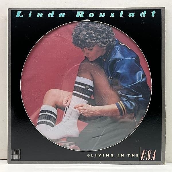 レコードメイン画像：美盤!! USオリジナル LTD. EDITION ピクチャーヴァイナル仕様 LINDA RONSTADT Living In The USA ('78 Asylum) 珠玉の米国スタンダード集！