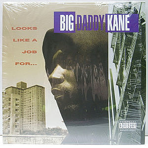 BIG DADDY KANE / Looks Like A Job For (LP) / Cold Chillin