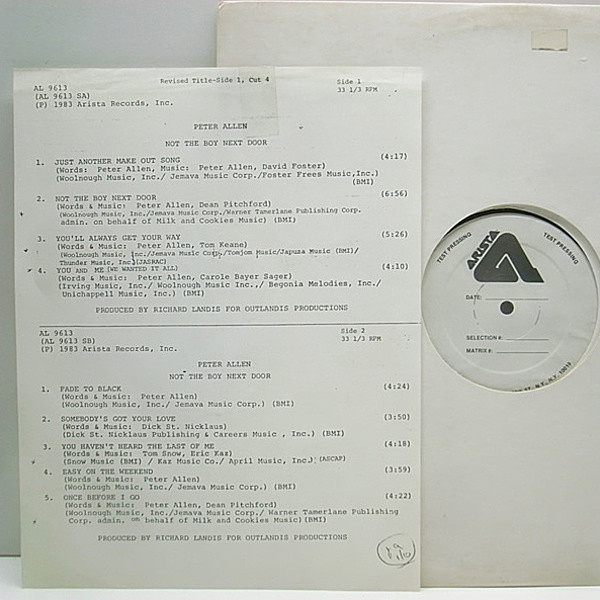 レコードメイン画像：テスト TEST PRESS ほぼ美盤 PETER ALLEN Not The Boy Next Door