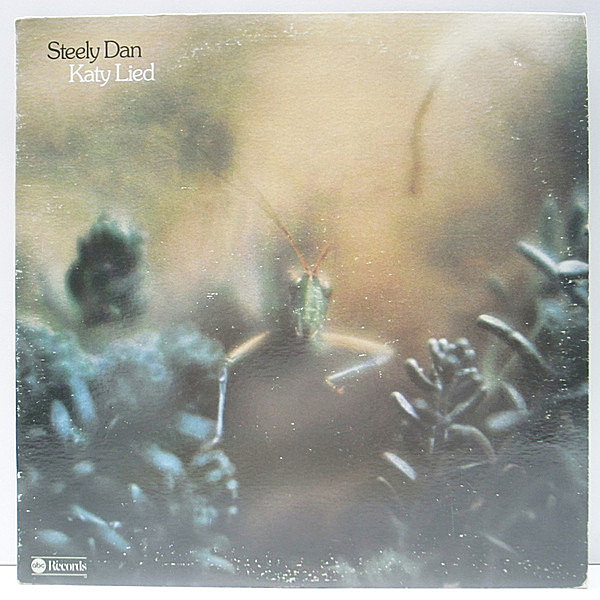 レコードメイン画像：US 初期プレス STEELY DAN Katy Lied (abc ABCD-846) 米 LP スティーリー・ダン／うそつきケイティ 名盤