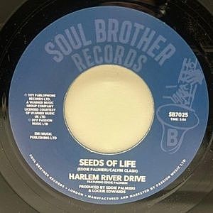 レコードサブ画像：2