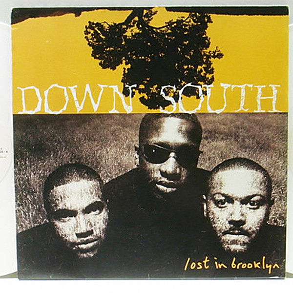 レコードメイン画像：ROY AYERSネタ 美品!! 2LP USオリジナル DOWN SOUTH Lost In Brooklyn／1st ('94 Big Beat) Southern Comfort ほか BEATNUTS サンプリング