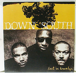 レコード画像：DOWN SOUTH / Lost In Brooklyn
