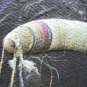 レコードサブ画像：2