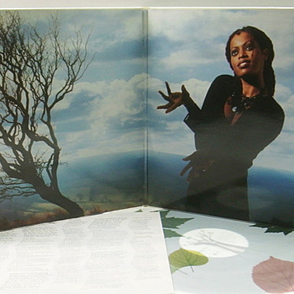 DES'REE / I Ain't Movin' (LP) / Sony Soho Square | WAXPEND