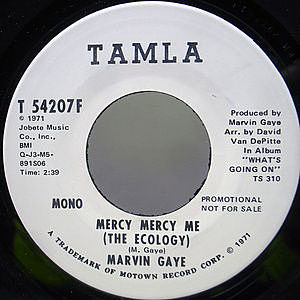 レコード画像：MARVIN GAYE / Mercy Mercy Me (The Ecology)